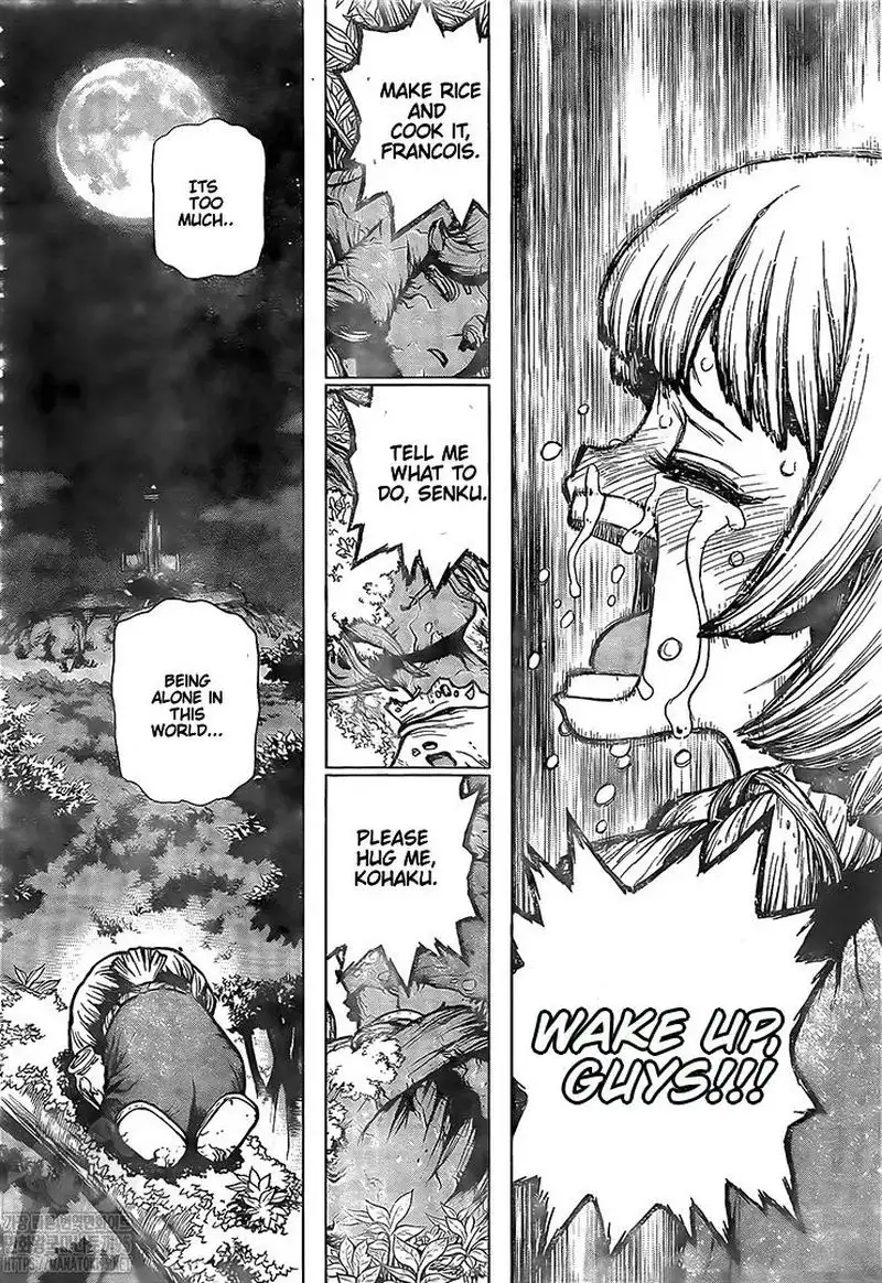 Dr. Stone Chapter 194 13